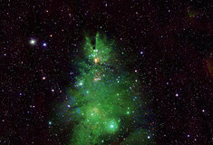 Το «Χριστουγεννιάτικο Δέντρο» της NASA από τα φώτα σμήνους αστέρων 