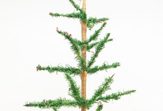 Χριστουγεννιάτικο δένδρο 103 ετών δημοπρατήθηκε έναντι 4.000 δολαρίων