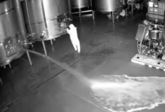 Intruder spills 60,000 litres of wine worth €2.5m at Spanish winery