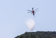 Φωτιά τώρα στο Μαρκόπουλο- Επί τόπου ισχυρές πυροσβεστικές δυνάμεις