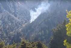Κρήτη: Φωτιά ξέσπασε στα Λευκά Όρη