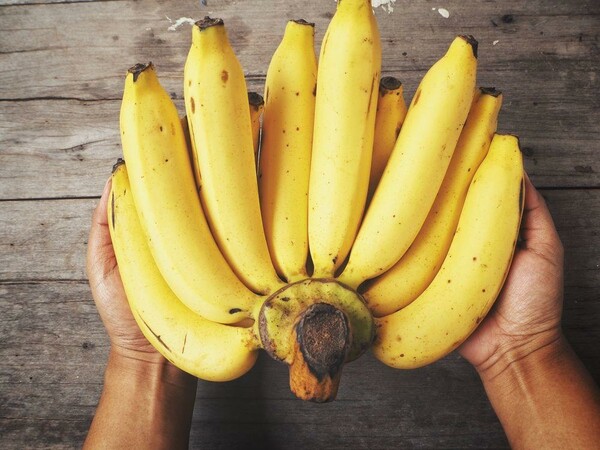 Η πανδημία της μπανάνας - H ασθένεια που απειλεί να αλλάξει τα πάντα για το δημοφιλές φρούτο