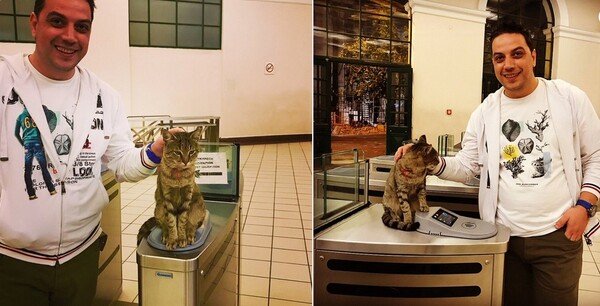 10 τέλειες φωτογραφίες του γατούλη φύλακα του σταθμού στο Μοναστηράκι που έγινε viral