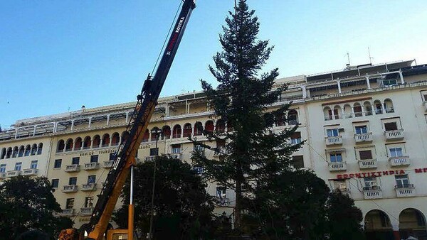 Χριστούγεννα στη Θεσσαλονίκη - Δείτε το 20 μέτρων έλατο στην Αριστοτέλους