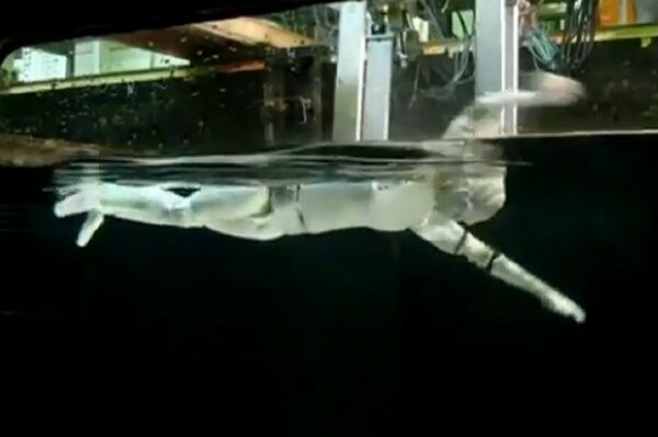 Reuters: Ένα ρομπότ που κολυμπάει