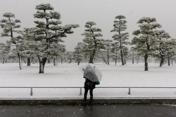 Το Τόκιο δείχνει υπέροχο στα λευκά, αλλά ο χιονιάς αφήνει πίσω του τραυματίες και χάος