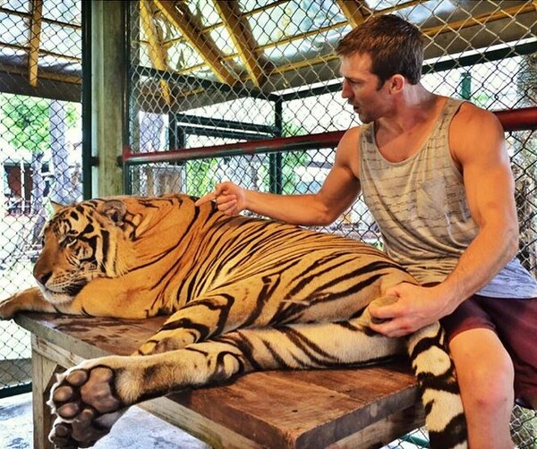 Aθλητής φωτογραφίζεται πιάνοντας τα γεννητικά όργανα μιας τίγρης και εξοργίζει το ίντερνετ