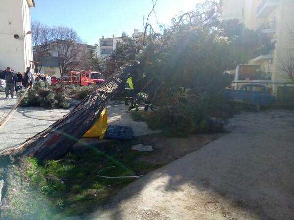 Συνεχίζονται τα προβλήματα στη Λάρισα: Έπεσαν δέντρα και τέντες, στο «σκοτάδι» πολλές περιοχές