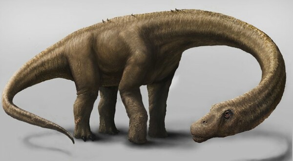 Ανακαλύφθηκε νέο είδος τεράστιου δεινοσαύρου