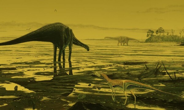 Σπάνια αποτυπώματα δεινοσαύρων ηλικίας 170 εκατ. ετών ανακαλύφθηκαν στη Σκωτία