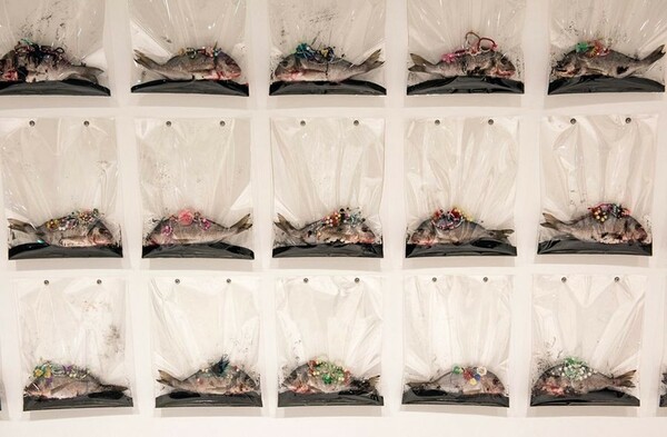 Αυτανάφλεξη σε καλλιτεχνική εγκατάσταση με σάπια ψάρια σε γκαλερί του Λονδίνου