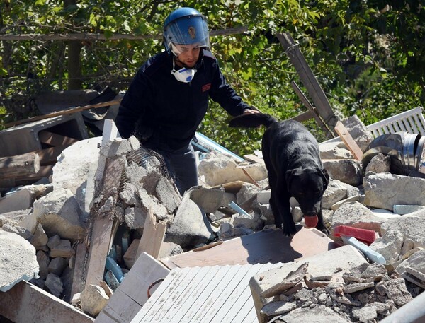Συσκευή θα μιμείται την όσφρηση του σκύλου για τη διάσωση ανθρώπων σε φυσικές καταστροφές