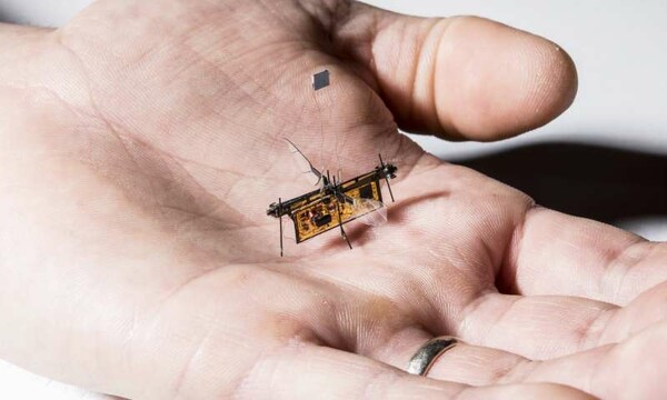 Πέταξε το Robofly, το πρώτο ασύρματο ρομποτικό έντομο