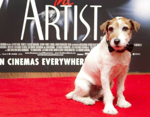 Πέθανε ο Uggie, ο σκύλος που πρωταγωνίστησε στο "The Artist"