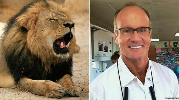 Η Ζιμπάμπουε ζητά την έκδοση του οδοντιάτρου που σκότωσε το σπάνιο λιοντάρι