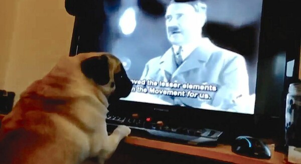 Μεγάλο πρόστιμο για ναζιστικό βίντεο με πρωταγωνιστή έναν σκύλο