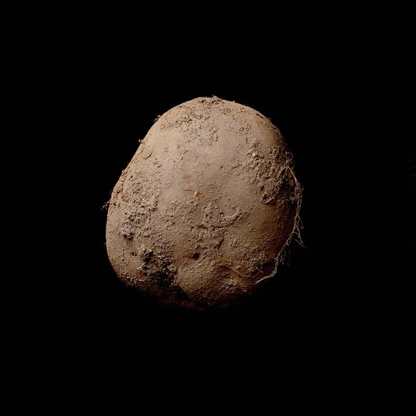 Η φωτογραφία αυτής της πατάτας πουλήθηκε για 1.000.000 ευρώ