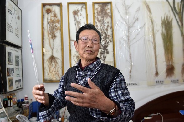 Κίνα: 83χρονος βοτανολόγος δημιουργεί "τρελά φυτά"