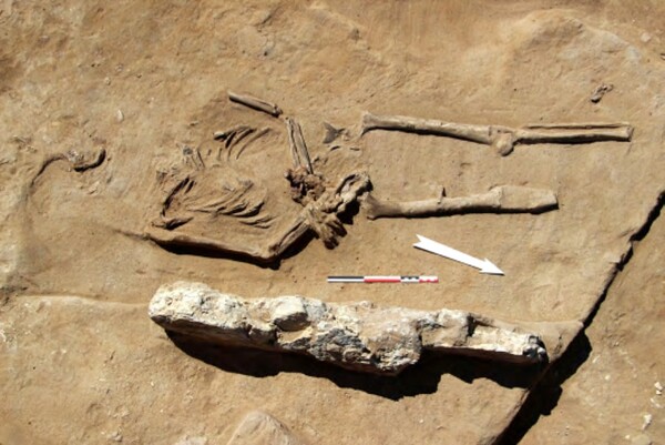 Το αρχαίο μυστικό που κρύβουν οι αλυσοδεμένοι σκελετοί στην Νεκρόπολη του Φαλήρου