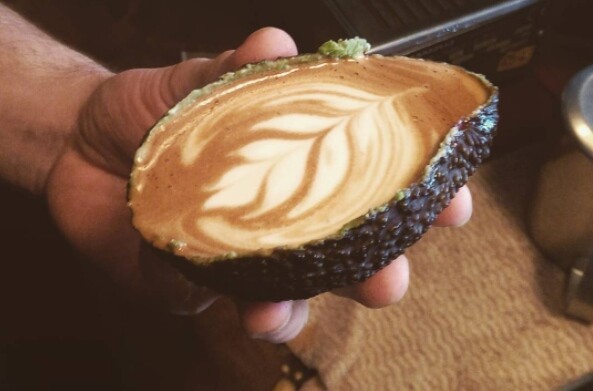 Avolatte: Για κάποιο ανεξήγητο λόγο κάποιοι πίνουν καφέ μέσα σε φλούδα αβοκάντο