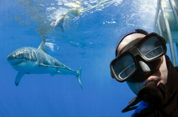 Οι selfies φέτος έχουν σκοτώσει περισσότερους απ' ό,τι οι καρχαρίες