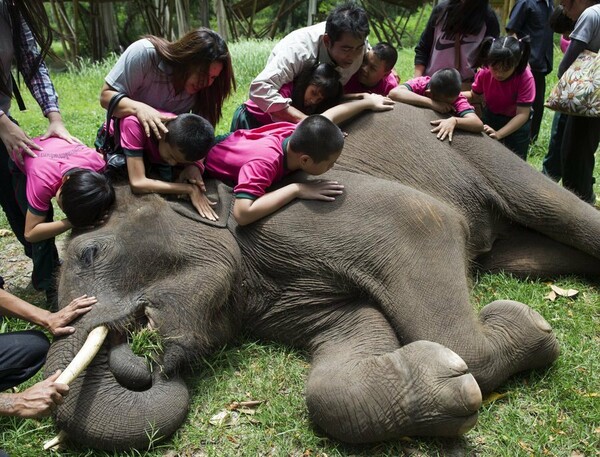Τυφλά και αυτιστικά παιδιά αγκαλιάζουν τον ελέφαντα που τα βοηθά να αναπτύξουν δεξιότητες