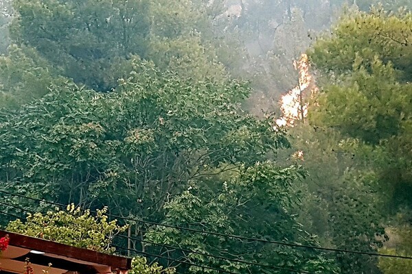 Οι πρώτες φωτογραφίες από τη μεγάλη φωτιά στην Εύβοια