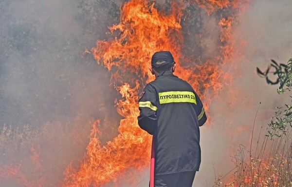 Σε ύφεση οι πυρκαγιές στην Εύβοια - Φωτιά εκδηλώθηκε και στην Ανάβυσσο