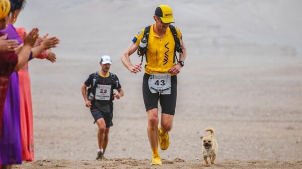 H απροσδόκητη φιλία μιας σκυλίτσας που έτρεξε πλάι σ' ένα μαραθωνοδρόμο για 125 χιλιόμετρα στην έρημο