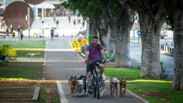 Στο Τελ Αβίβ υπάρχουν δεκάδες δημόσια πάρκα και παραλίες ειδικά για τους 25.000 σκύλους που ζουν εκεί