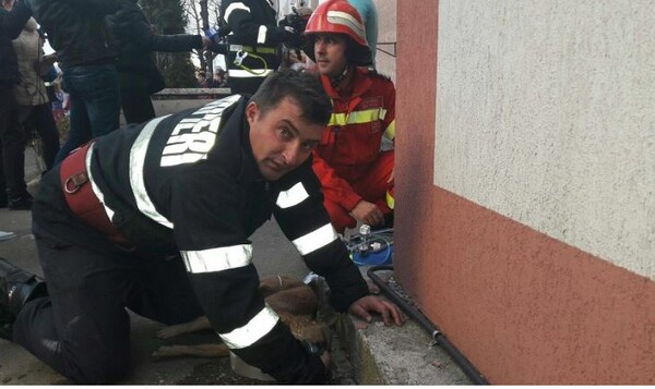 Ήρωας για τη Ρουμανία ένας πυροσβέστης που έσωσε έναν σκύλο δίνοντάς του «το φιλί της ζωής»