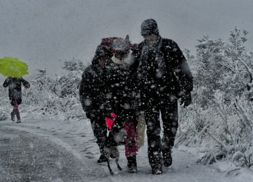 Νέα επέλαση του χιονιά στα ορεινά του νομού Τρικάλων
