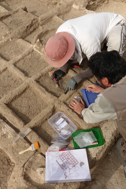 Αίγυπτος: Ανακαλύφθηκε για πρώτη φορά «ταφικός κήπος» ηλικίας 4000 ετών