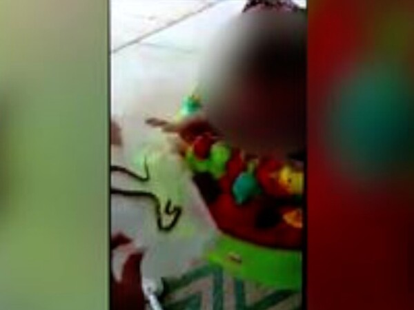 ΗΠΑ: Μητέρα έβαλε φίδι να δαγκώσει την ενός έτους κόρη της για να της διδάξει ένα μάθημα