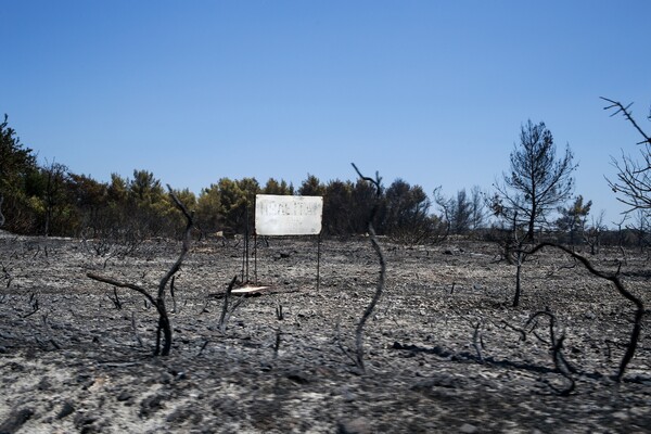 Χωρίς ενεργό μέτωπο η φωτιά στα Κύθηρα - Πολύ υψηλός ο κίνδυνος πυρκαγιάς σε αρκετές περιοχές