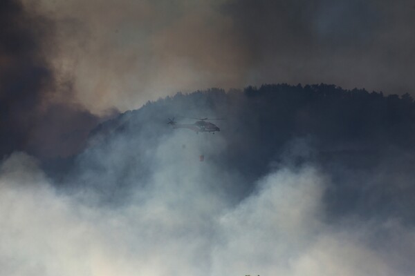 Φωτογραφίες από την καταστροφική πυρκαγιά σε Κάλαμο και Βαρνάβα - Πύρινο μέτωπο 25 χλμ