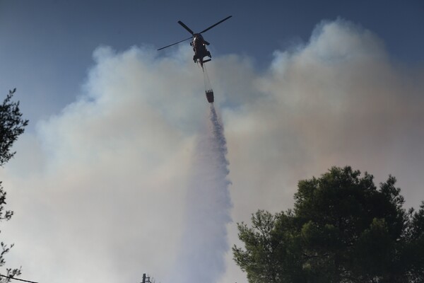 Φωτογραφίες από την καταστροφική πυρκαγιά σε Κάλαμο και Βαρνάβα - Πύρινο μέτωπο 25 χλμ
