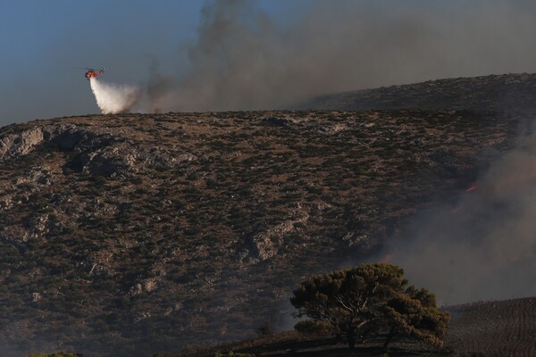 Φωτογραφίες από την πυρκαγιά στα Καλύβια Αττικής