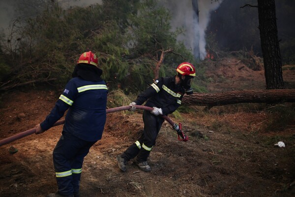 Υψηλός παραμένει ο κίνδυνος πυρκαγιάς - Το τελευταίο 24ωρο εκδηλώθηκαν 57 νέες φωτιές