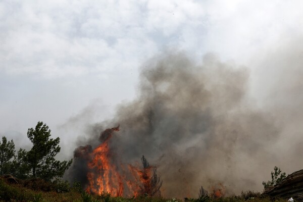 56 νέες πυρκαγιές το τελευταίο 24ωρο - Ολονύχτια μάχη με τις φλόγες στην Εύβοια