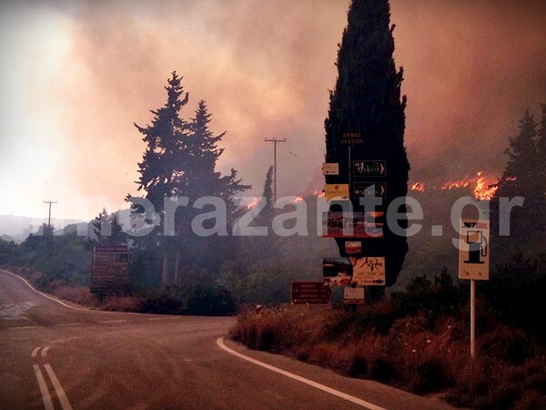 Πυρκαγιά στις Ορθονιές Ζακύνθου - Καίγεται πευκοδάσος και αποκλείστηκαν δρόμοι