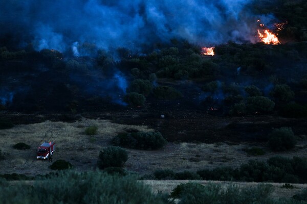 Ηράκλειο: Νέα πυρκαγιά σε δασική περιοχή στο Δήμο Μίνωα Πεδιάδος- Υπό έλεγχο η φωτιά στη Γόρτυνα