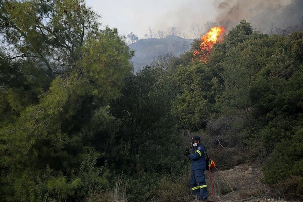 Ολονύκτια μάχη πυροσβεστών και κατοίκων για να τεθεί υπό έλεγχο η πυρκαγιά στην Κασσάνδρα