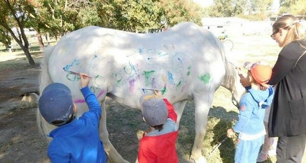 Θεσσαλονίκη: Μηνύσεις για τη ζωγραφική πάνω σε άλογο