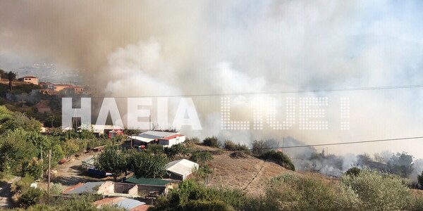 Μεγάλη φωτιά στη Μάκιστο Ηλείας - Οι φλόγες απειλούν τα σπίτια του χωριού