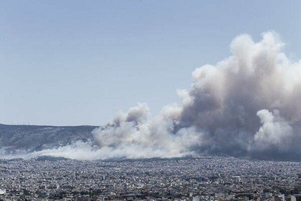 Mάχη με τις φλόγες στον Καρέα - Oι πρώτες εικόνες από τη μεγάλη πυρκαγιά