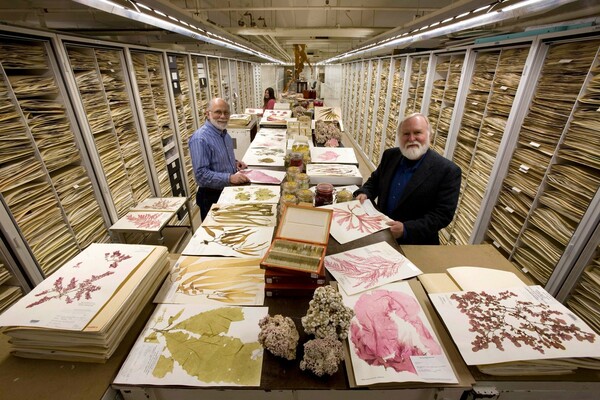 Στα άδυτα της μυστικής συλλογής του Μουσείου Φυσικής Ιστορίας Σμιθσόνιαν