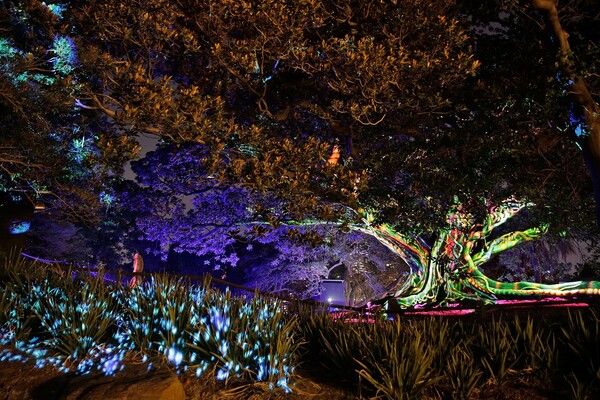 Το μεγαλύτερο φεστιβάλ φωτός του κόσμου μεταμόρφωσε τους Βοτανικούς Κήπους του Σίδνεϊ σε ψυχεδελικό δάσος