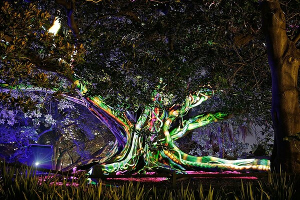 Το μεγαλύτερο φεστιβάλ φωτός του κόσμου μεταμόρφωσε τους Βοτανικούς Κήπους του Σίδνεϊ σε ψυχεδελικό δάσος