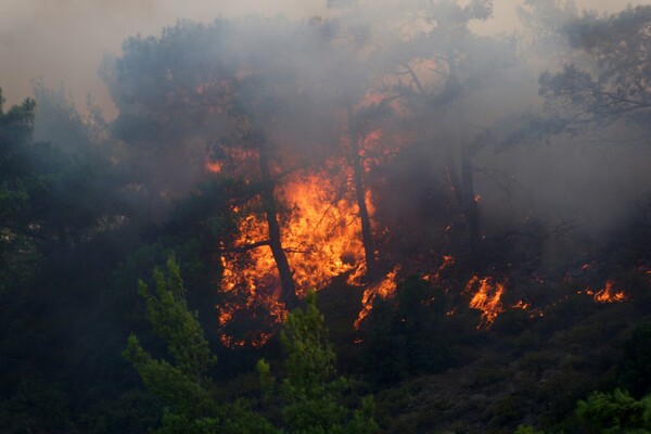 Μάχη με τις φλόγες δίνει η πυροσβεστική σε Αυλώνα, Ηλεία και Χανιά